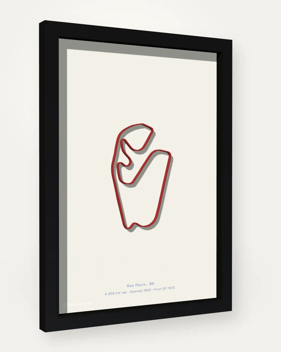 Autódromo José Carlos Pace - Interlagos poster with solid background